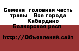 Семена (головная часть))) травы - Все города  »    . Кабардино-Балкарская респ.